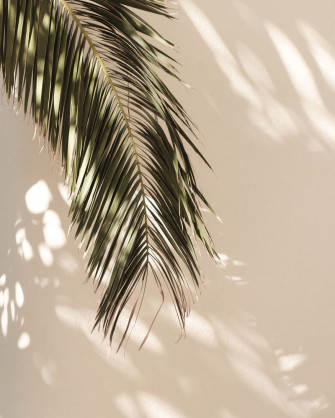 Tropical Palm Leaves Vi Art Print By Mauikauai Wallpaper