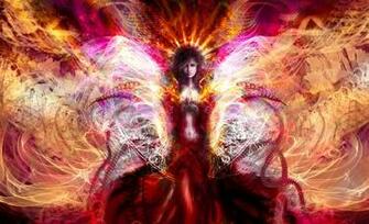 Wings Pictures And Image