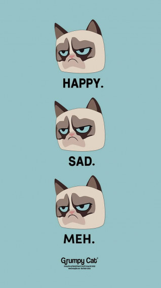 Grumpy Cat Background Wallpaper