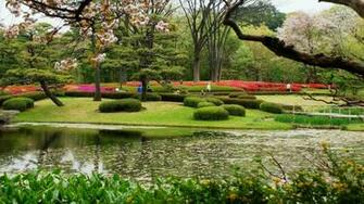 Japanese Garden Wallpaper Nature