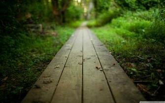 Path Wallpaper X Net