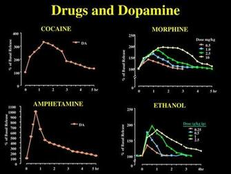 Substance Use Disorders Ppt