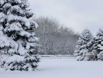 Winter Wonderland Fun Pictures Of