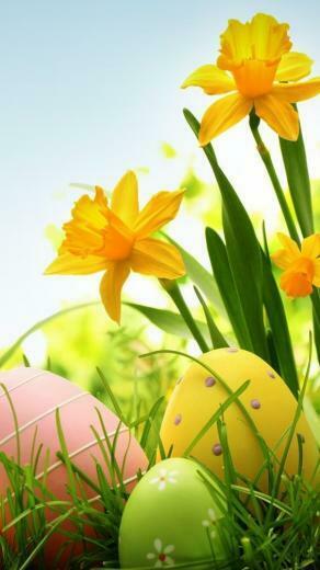 Janice Murray On Easter Egg Hunt Wallpaper