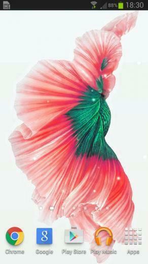 Gratis Betta Fish For Galaxy S6 Edge