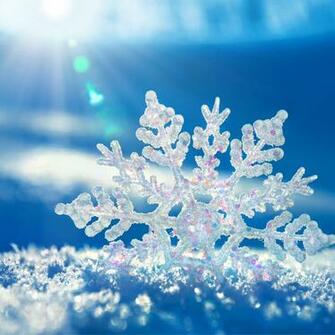 Snow iPad Wallpaper iPhone One