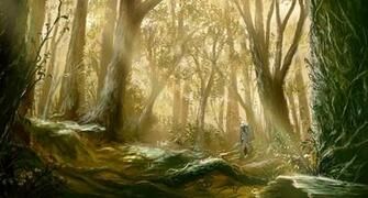 Anime Forest Scenery Wallpaper Id