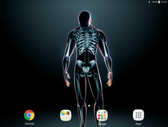 Live Skeleton Wallpaper