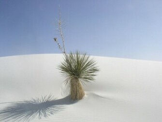 White Sand Wallpaper