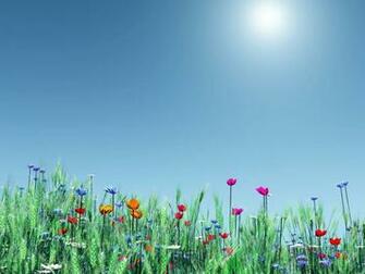 Spring Flowers Desktop Pc And Mac Wallpaper