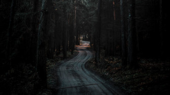 Forest Road Dark 4k Wallpaper