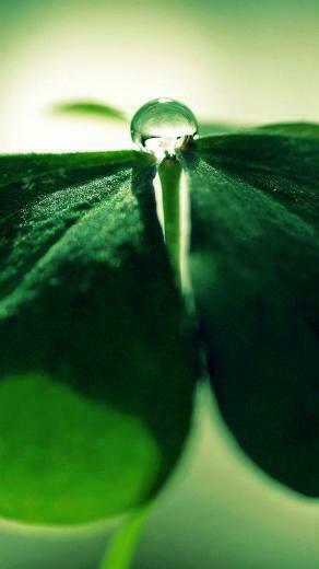 Sfondo Wallpaper Lg G4 QHD X