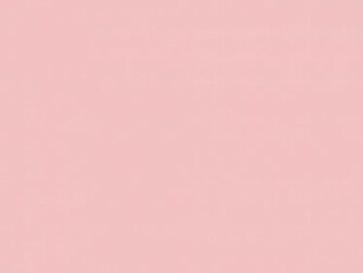 Pink Solid Color Background And The Below