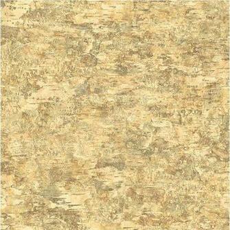 Lake Forest Lodge Birch Wallpaper York Wallcoverings Wall D