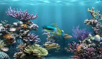 Pin Beta Fish Windows Wallpaper Myspace