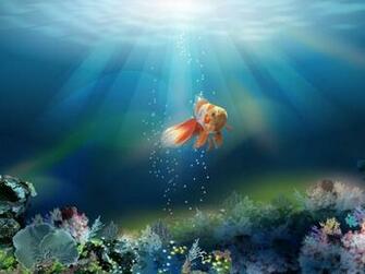 Collection Of Fish Wallpaper For Your Computer Screen Cssdive
