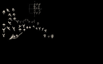 Find Beauty In The Subtle Darkness Of Japanese Aesthetic