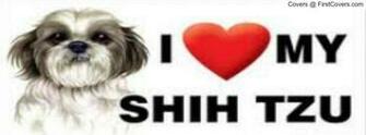 Shih Tzu Covers Firstcovers