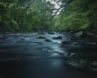 Voorhees State Park Wallpaperable Wallpaper