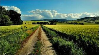 Country Road Wallpaper