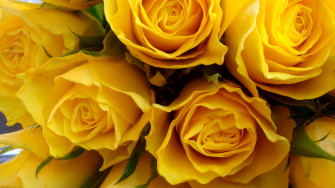Cute Black And Yellow Wallpaper Info Baru