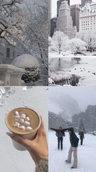 Snowfall Symphony Winter Collages Let It Snow I Take You