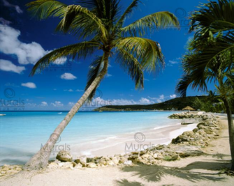 Beach Scene Wallpaper High Quality Background For