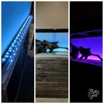 Quick Upgrade For An Led Backlit Background On My 75g Aquariums