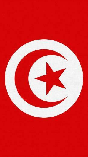 Wallpaper Tunisia Flag Star Symbols iPhone