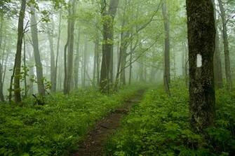 Appalachian Trail Conservancy Shop For Atc