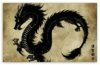 Chinese Black Dragon HD Desktop Wallpaper High Definition
