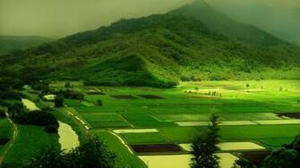Green Mountain Nature HD Wallpaper Wallsev