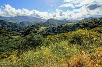 Wallpaper Malibu Southern California Usa Desktop