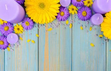 Wallpaper Flowers Background Blue Chamomile Candles Gerbera
