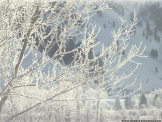 Cold Of Winter Wallpaper Christmas Photography Desktop