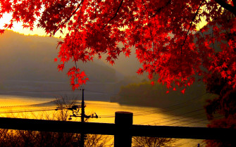 HD Fall Wallpaper