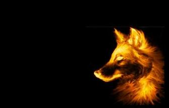 Fire Wolf Wallpaper Black Background