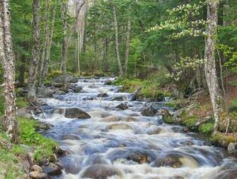 Adirondacks Calendar The Wall Adirondack