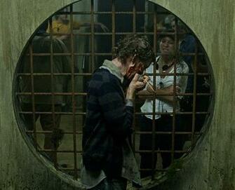 The Walking Dead Amc