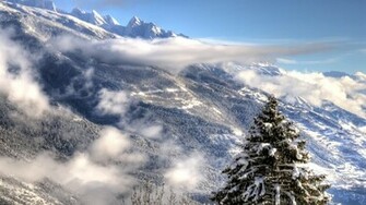 Winter Morning HD Wallpaper FullHDwpp Full