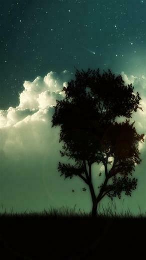 Night Sky iPhone Wallpaper 5s4s3g Html