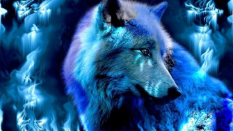 Wolf Background