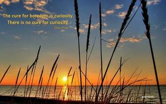 Nature Wallpaper With Quotes