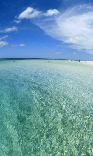 Wallpaper Gulf Water Transparent Sand Coast