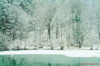 HD Background Screensaver Of Snow Wallpaper