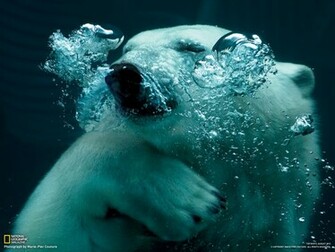 Photography Desktop Wallpaper National Geographic Magazine