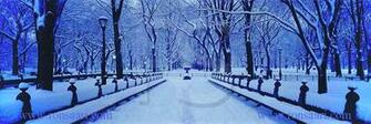 Winter Central Park Wallpaper Mall In