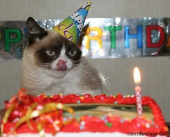 Funny BirtHDay Cat Desktop Wallpaper