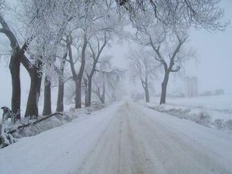 Wild Winter Wallpaper In Resolution