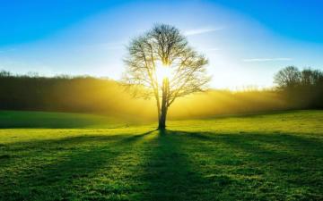 Summer Landscape Nature Wallpaper